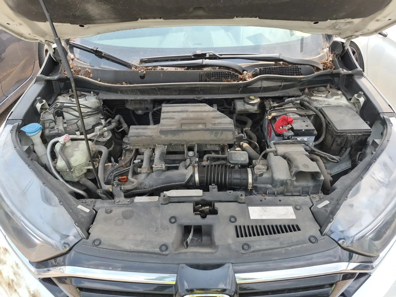 Engine Photo