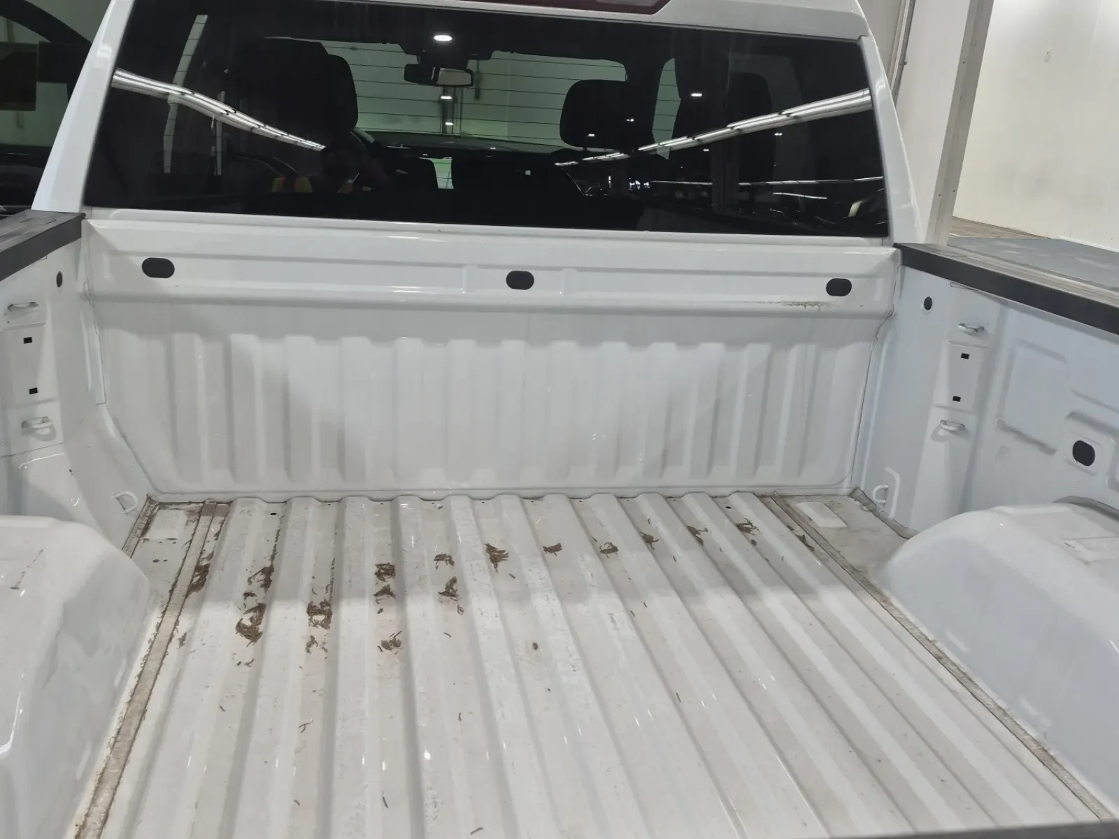 Cargo Area Photo
