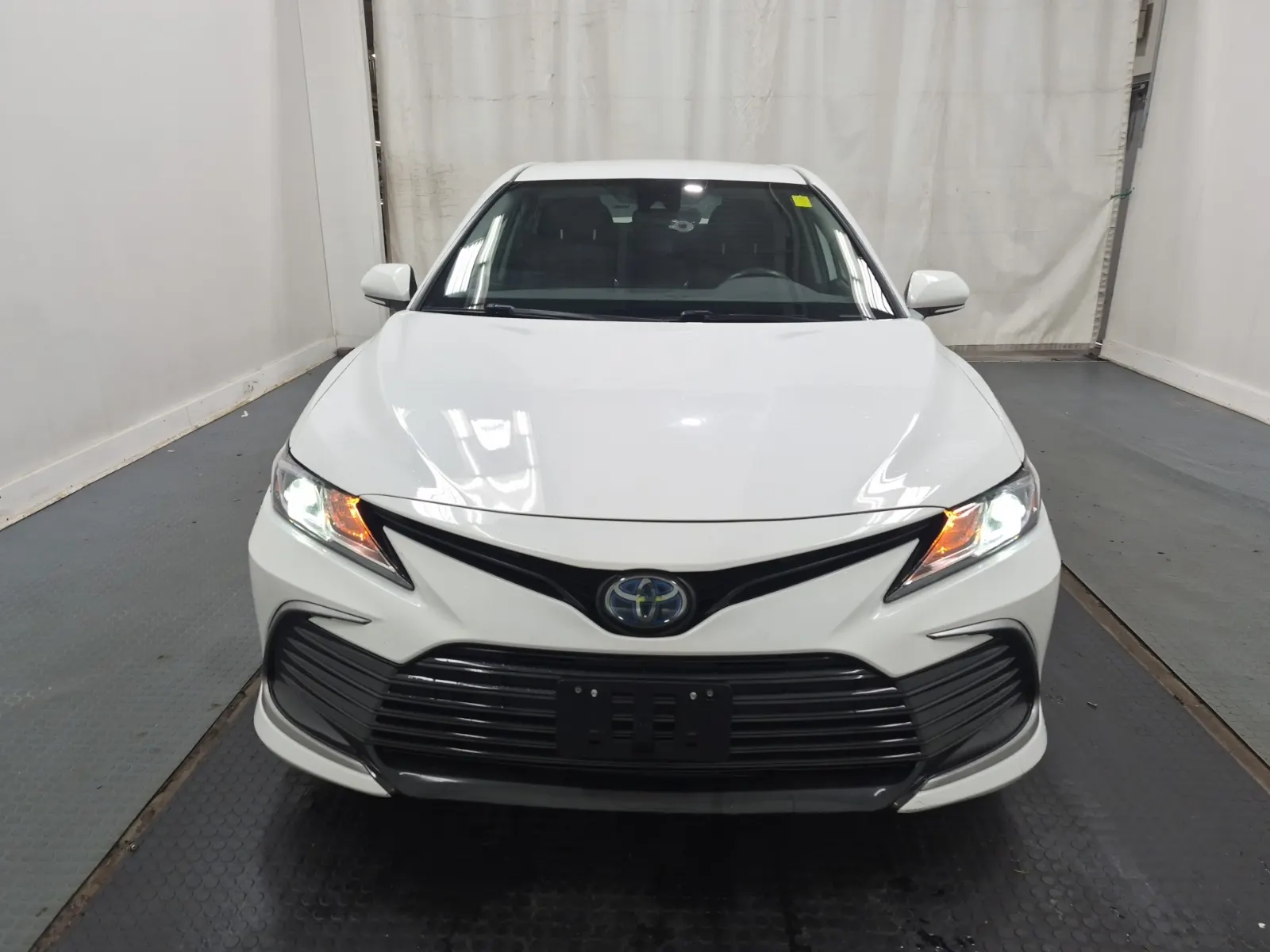 Full Front Photo