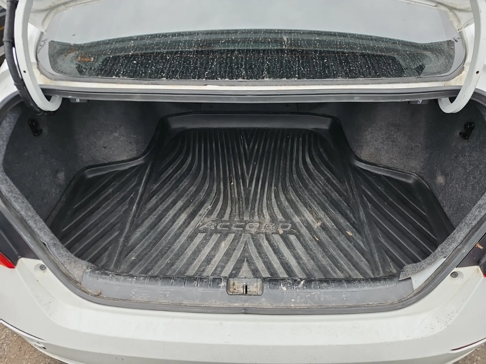 Cargo Area Photo