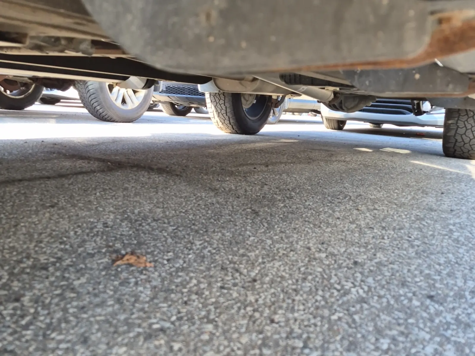Undercarriage - Driver Photo