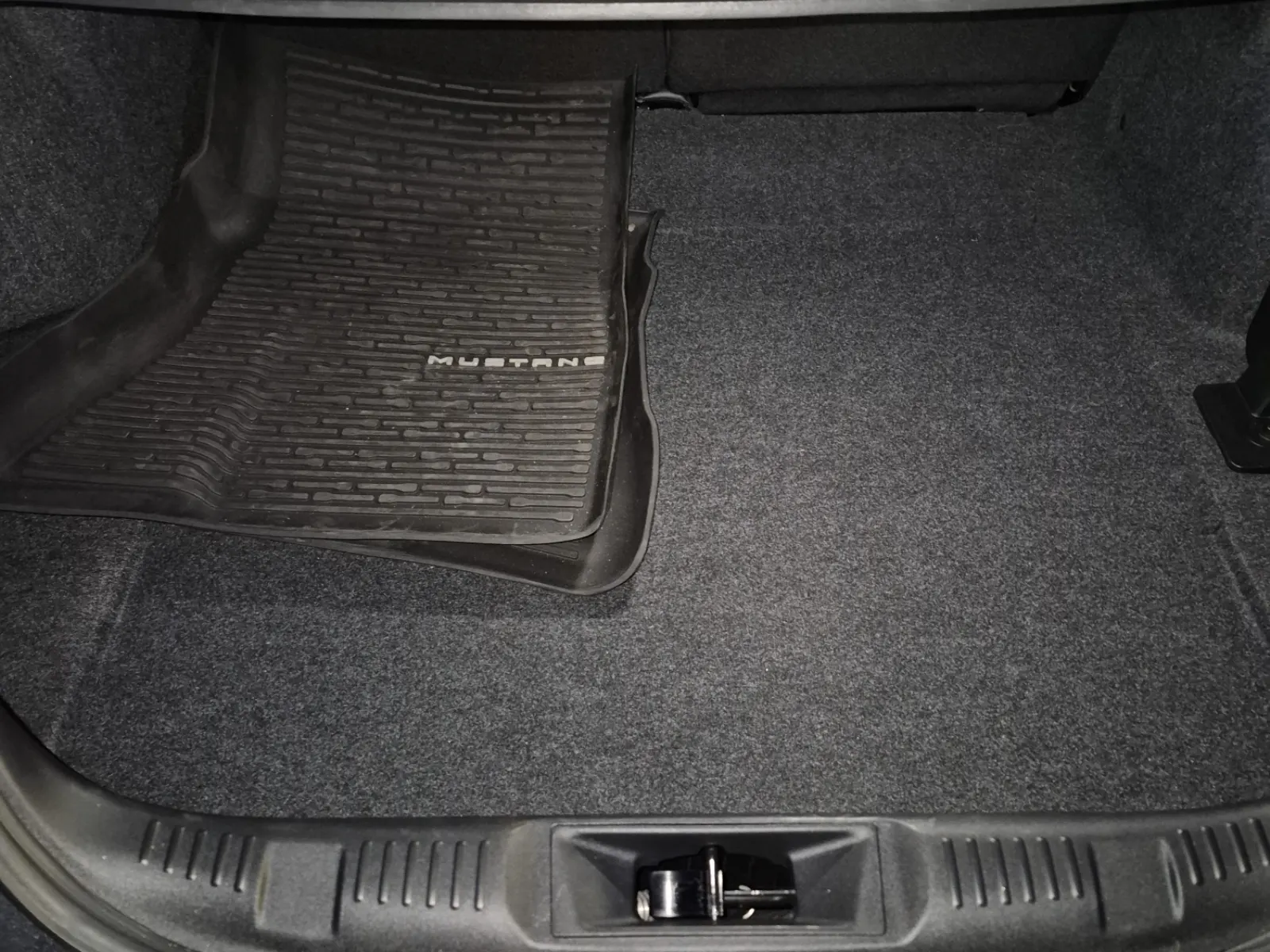 Cargo Area Photo