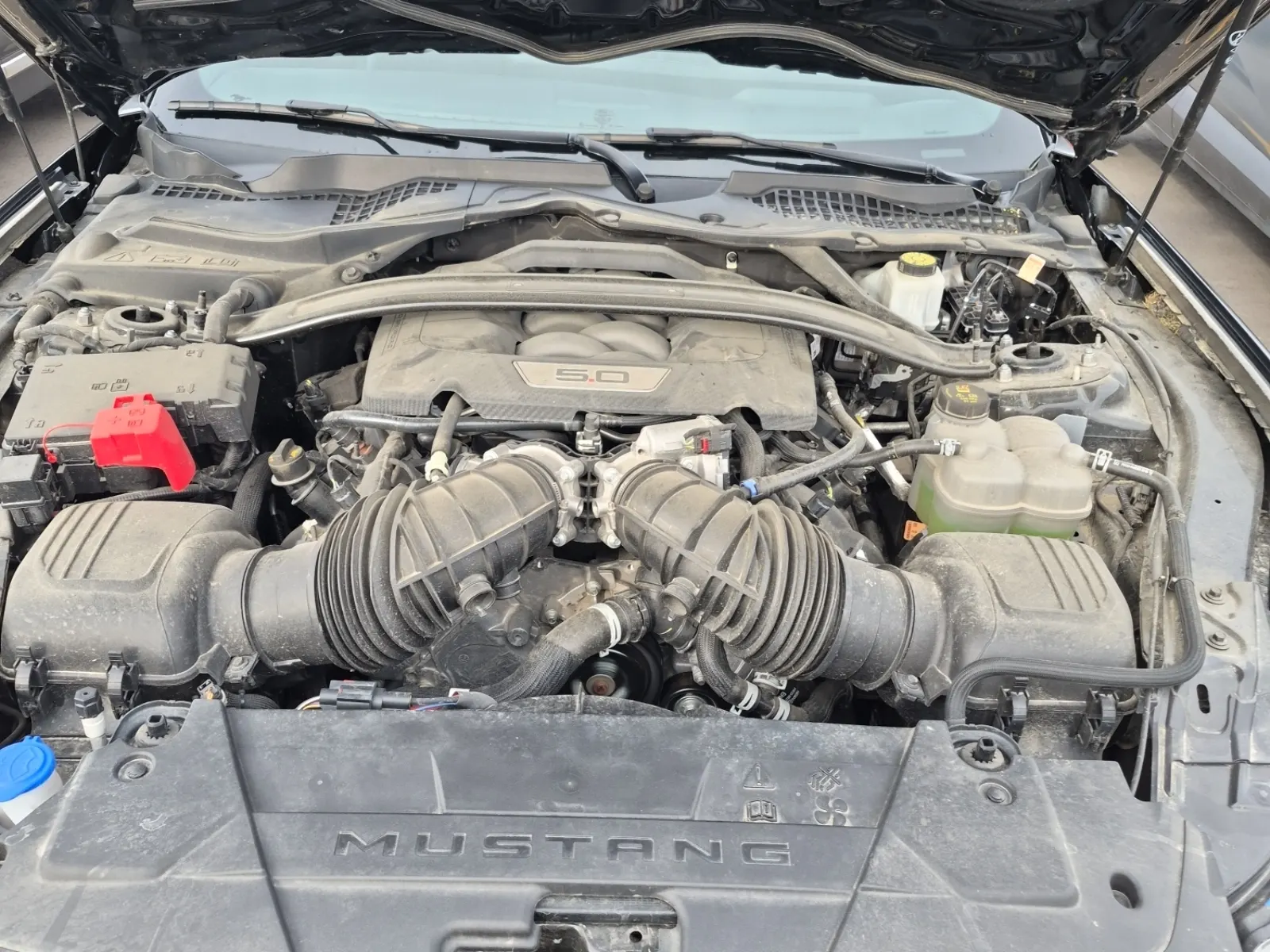 Engine Photo