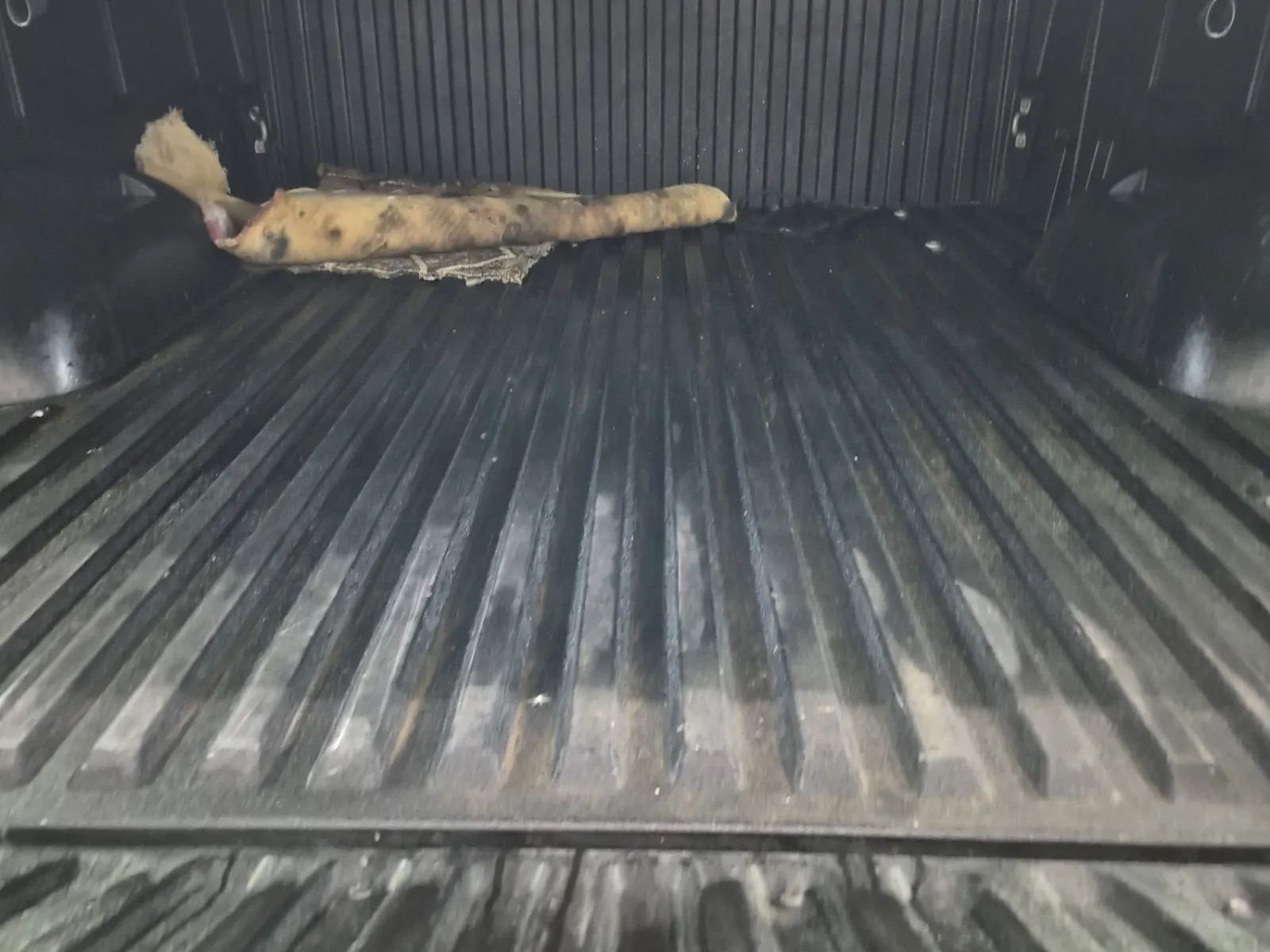 Cargo Area Photo