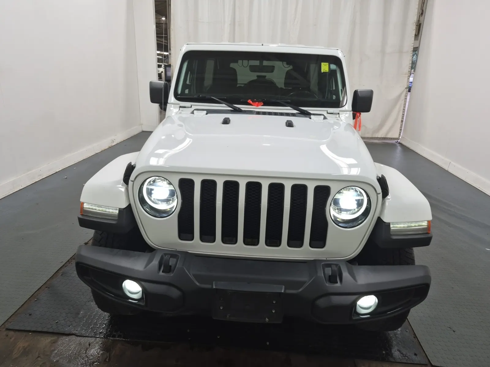 Full Front Photo