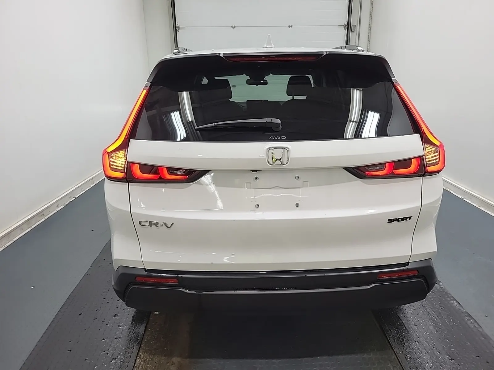 Full Rear Photo