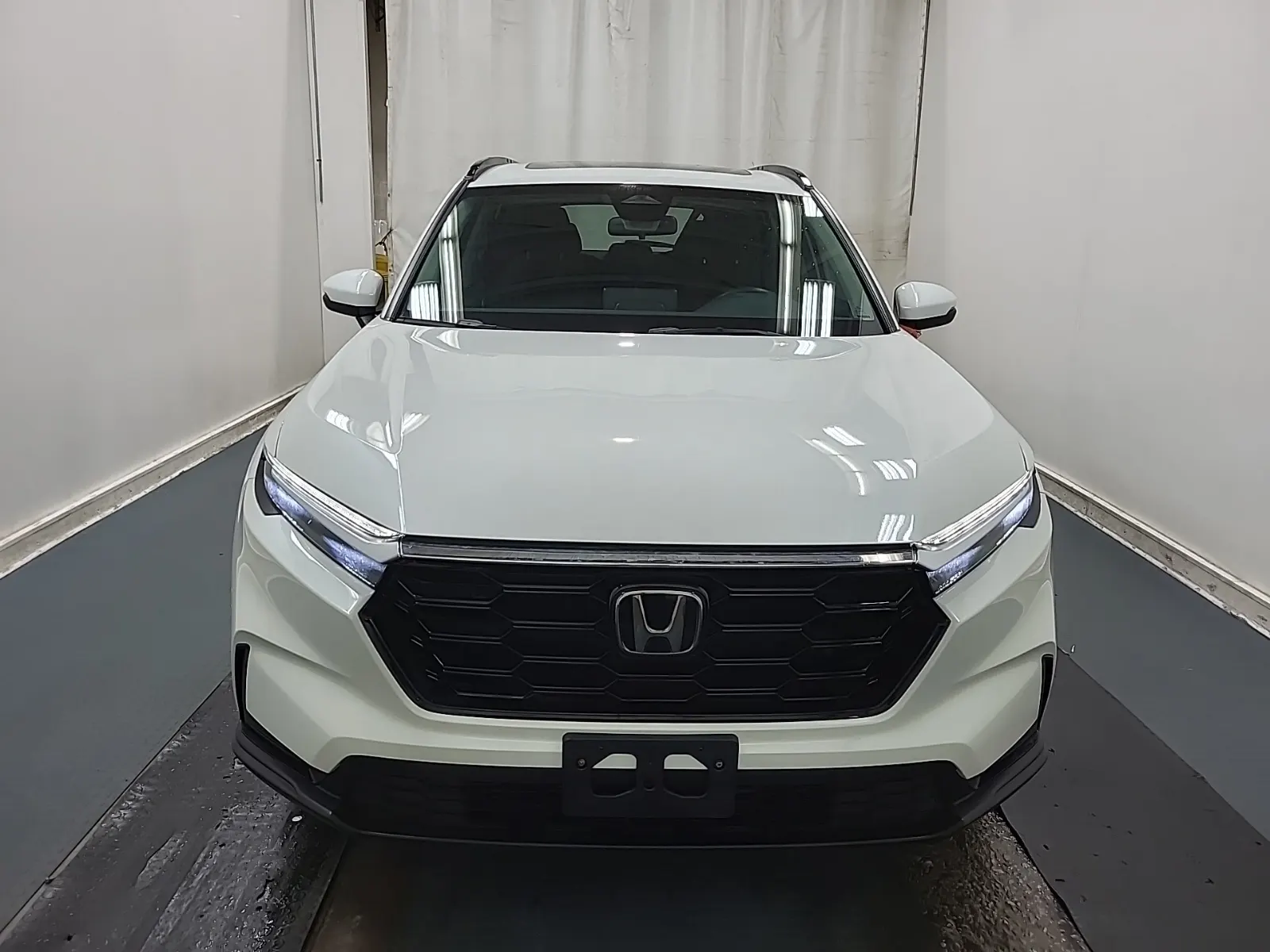 Full Front Photo