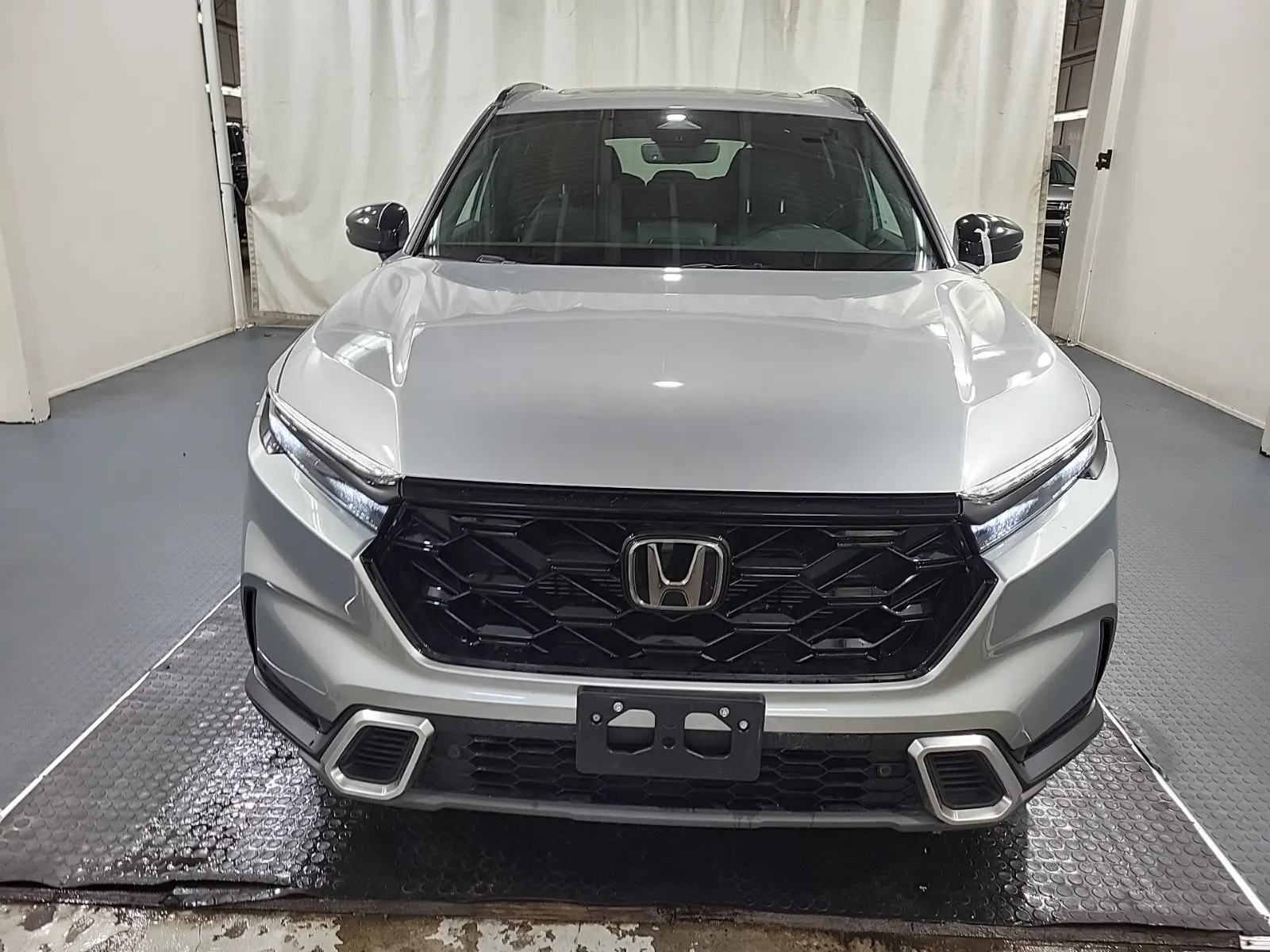 Full Front Photo