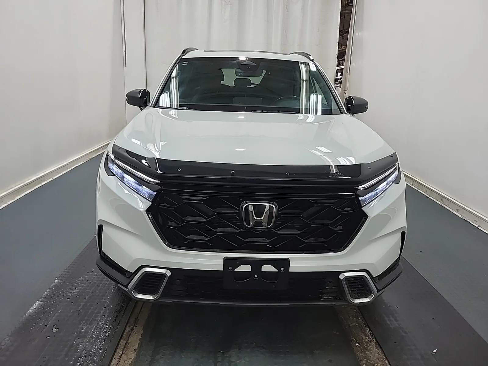 Full Front Photo