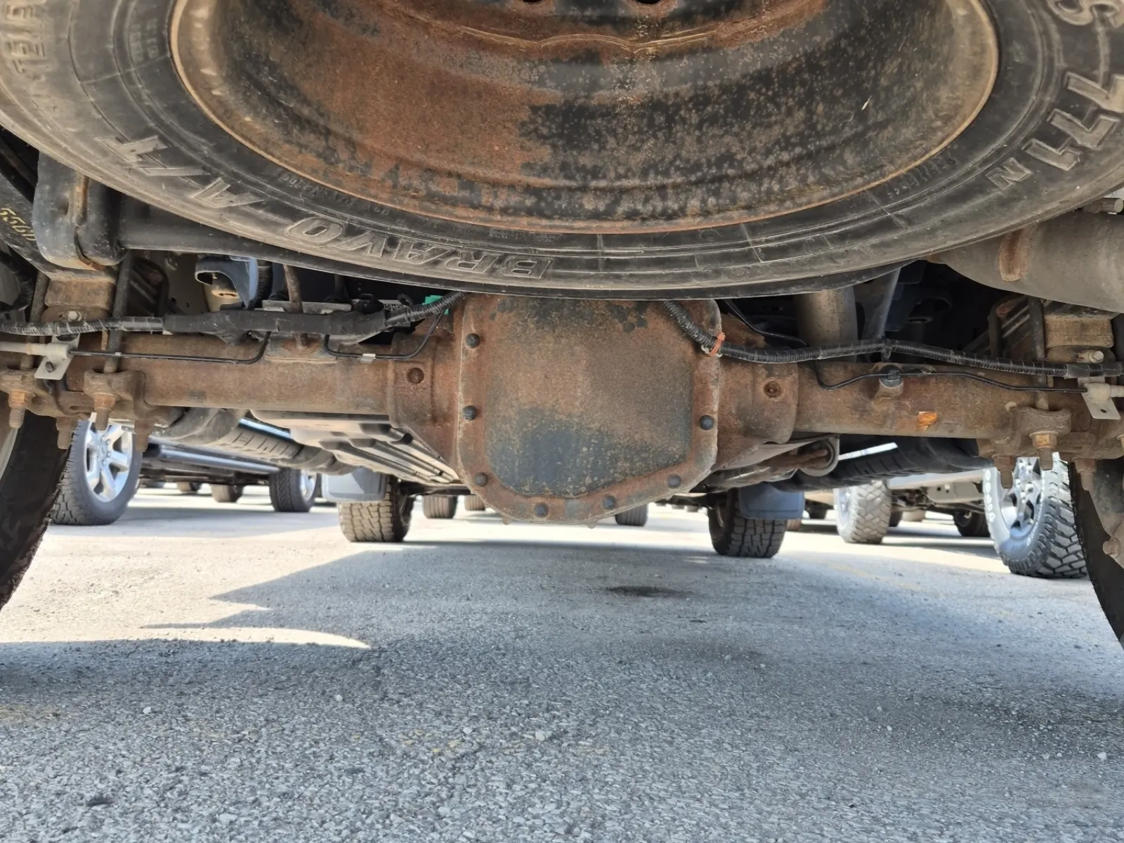 Undercarriage - Rear Photo