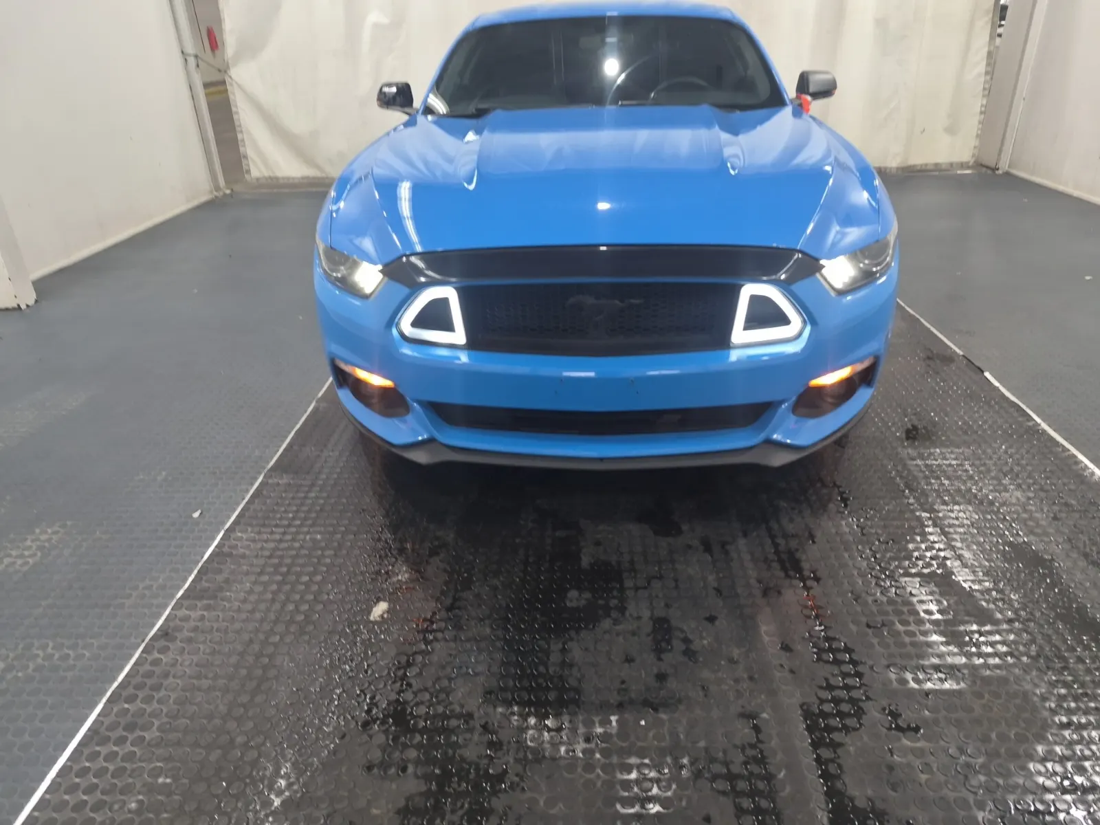 Full Front Photo