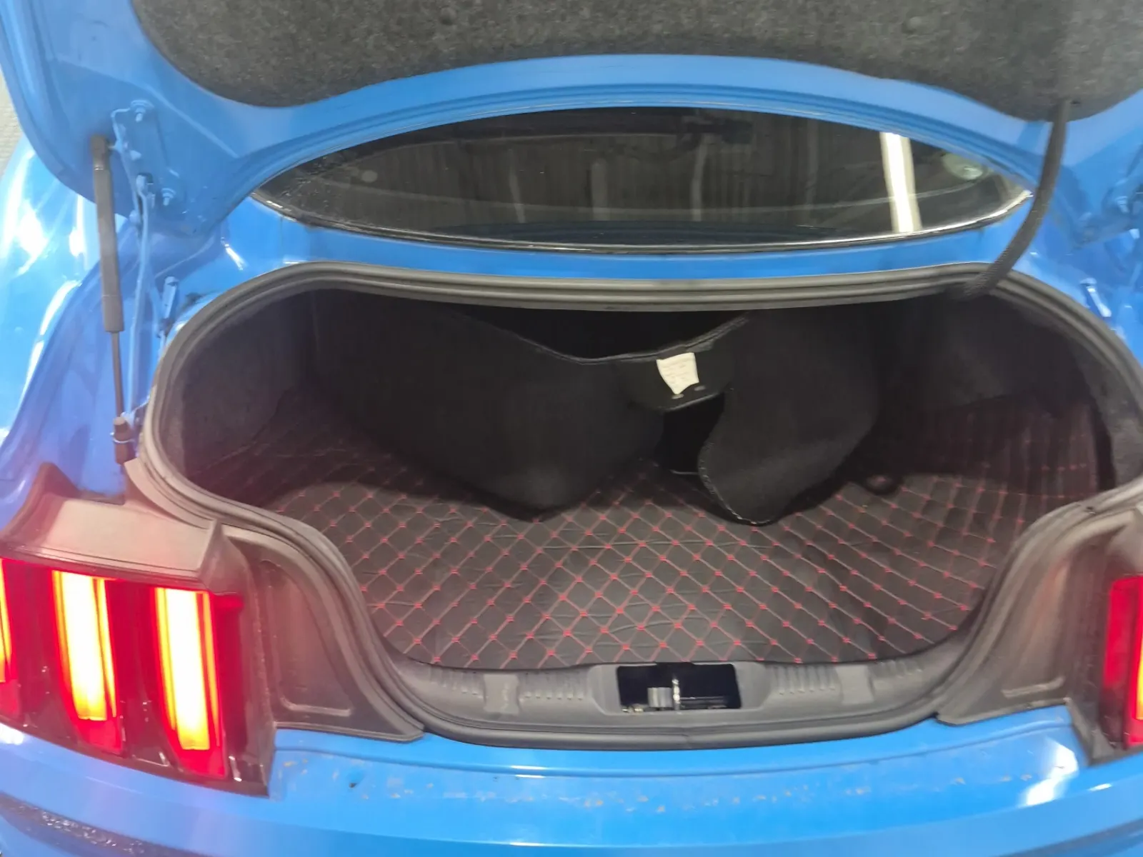 Cargo Area Photo