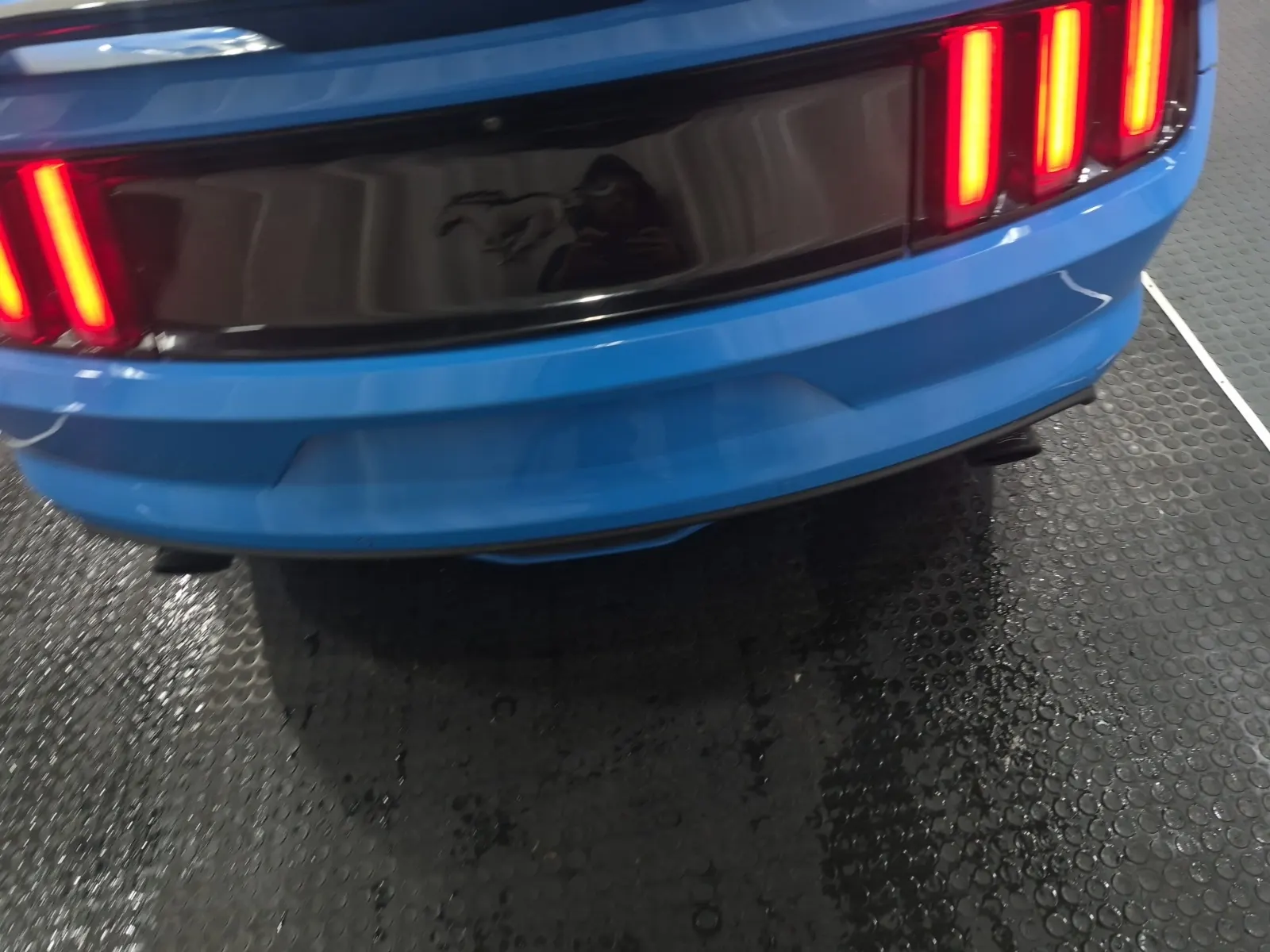Full Rear Photo