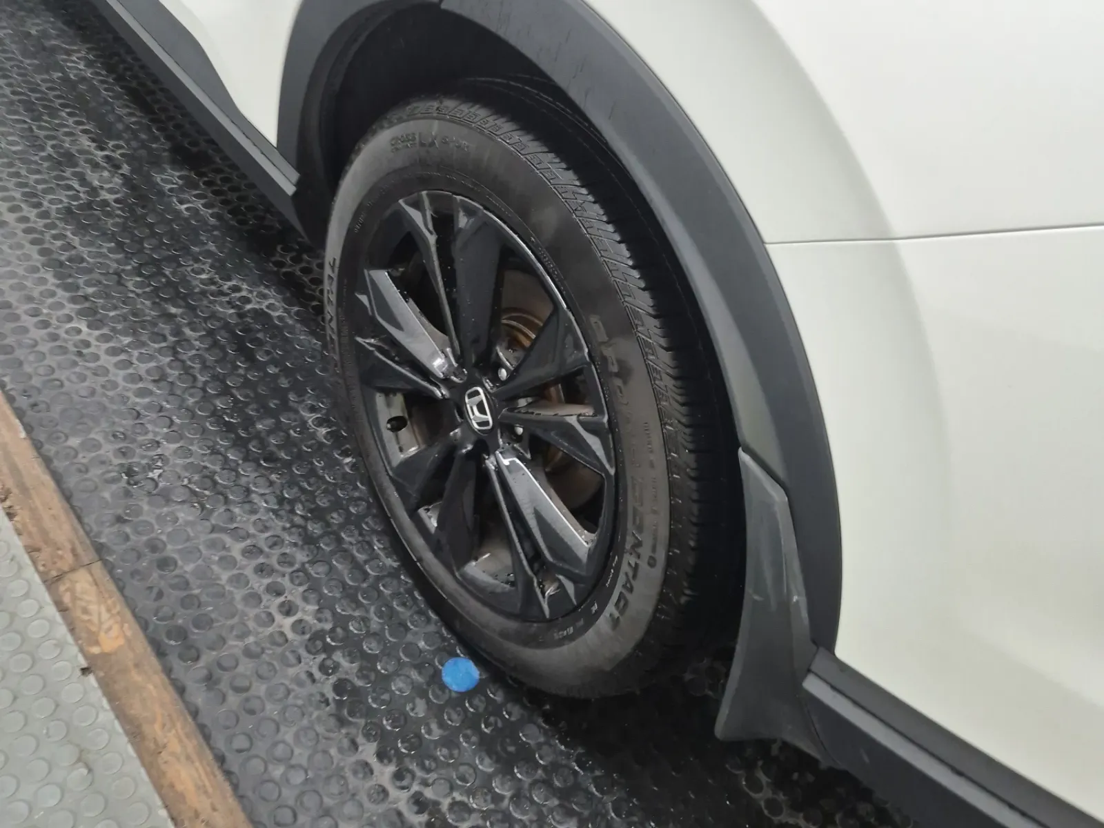 Left Rear Wheel/Tire Photo