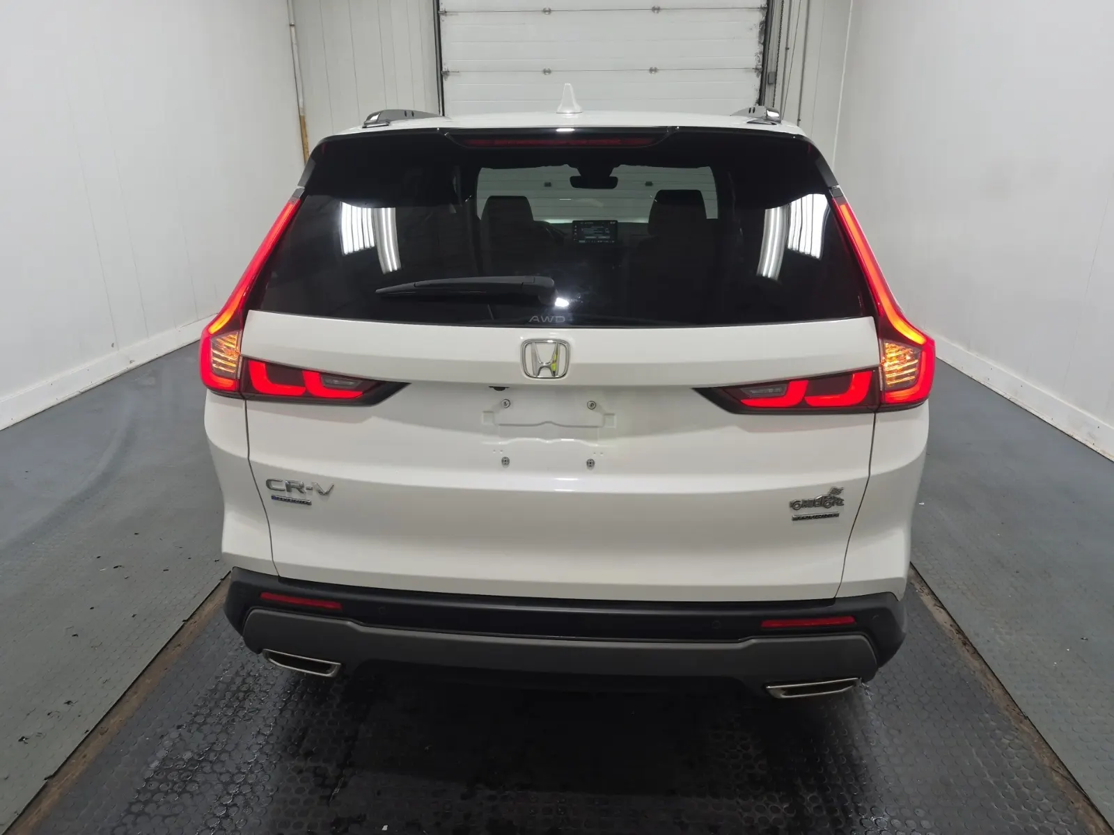 Full Rear Photo