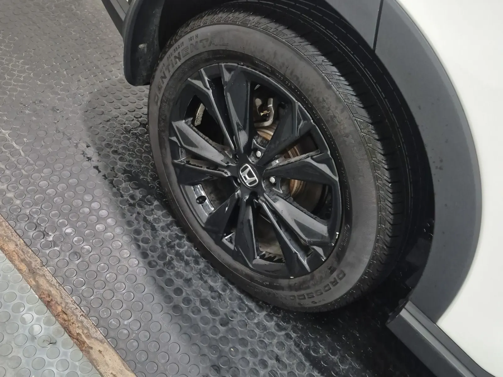 Right Rear Wheel/Tire Photo