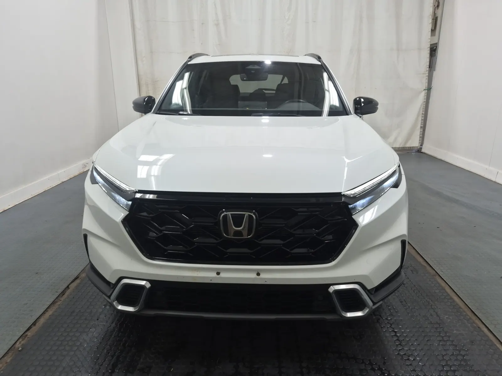 Full Front Photo