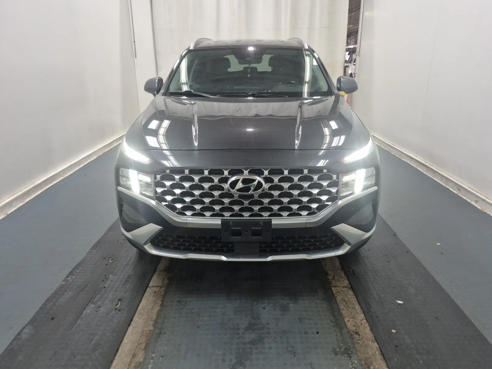 Full Front Photo