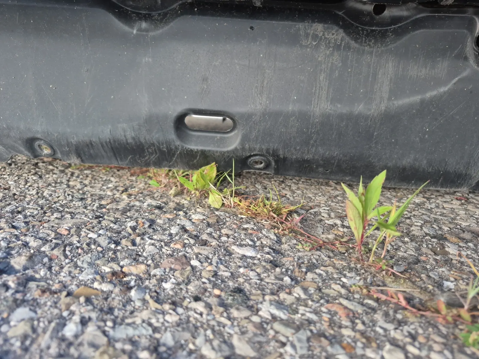 Undercarriage - Front Photo