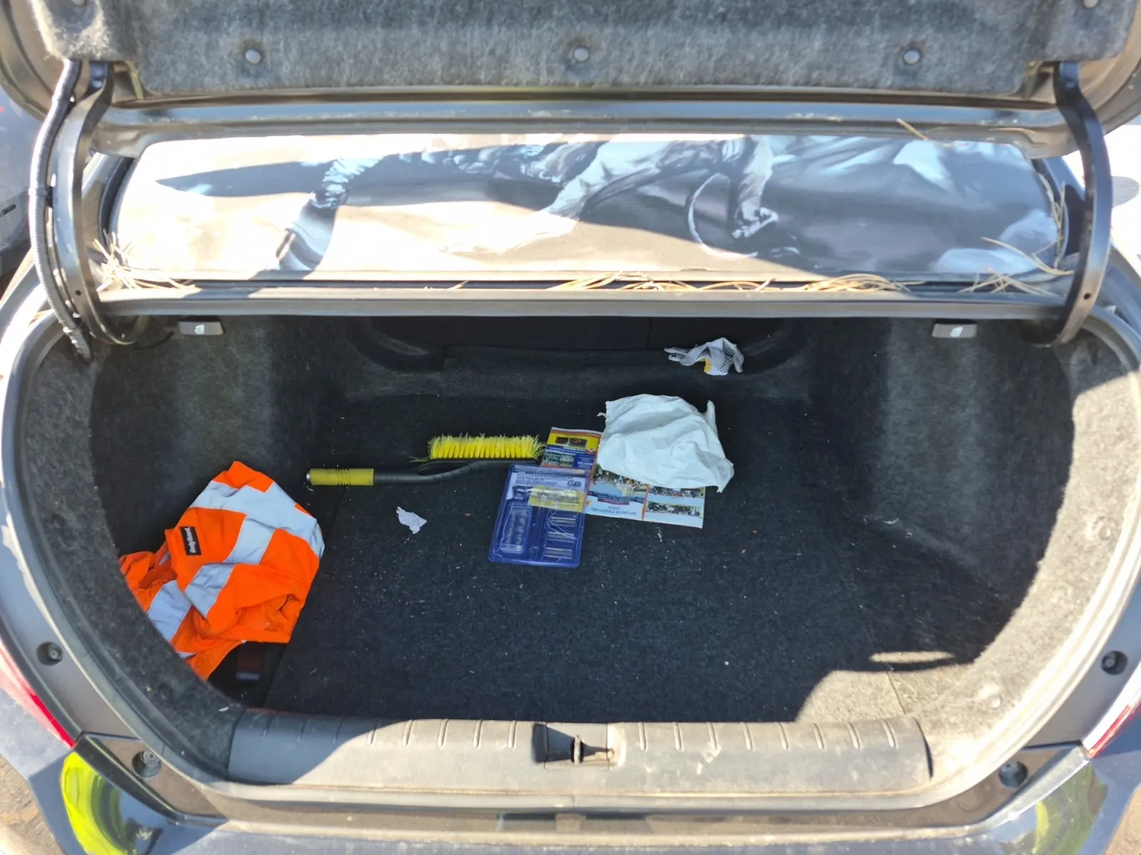 Cargo Area Photo