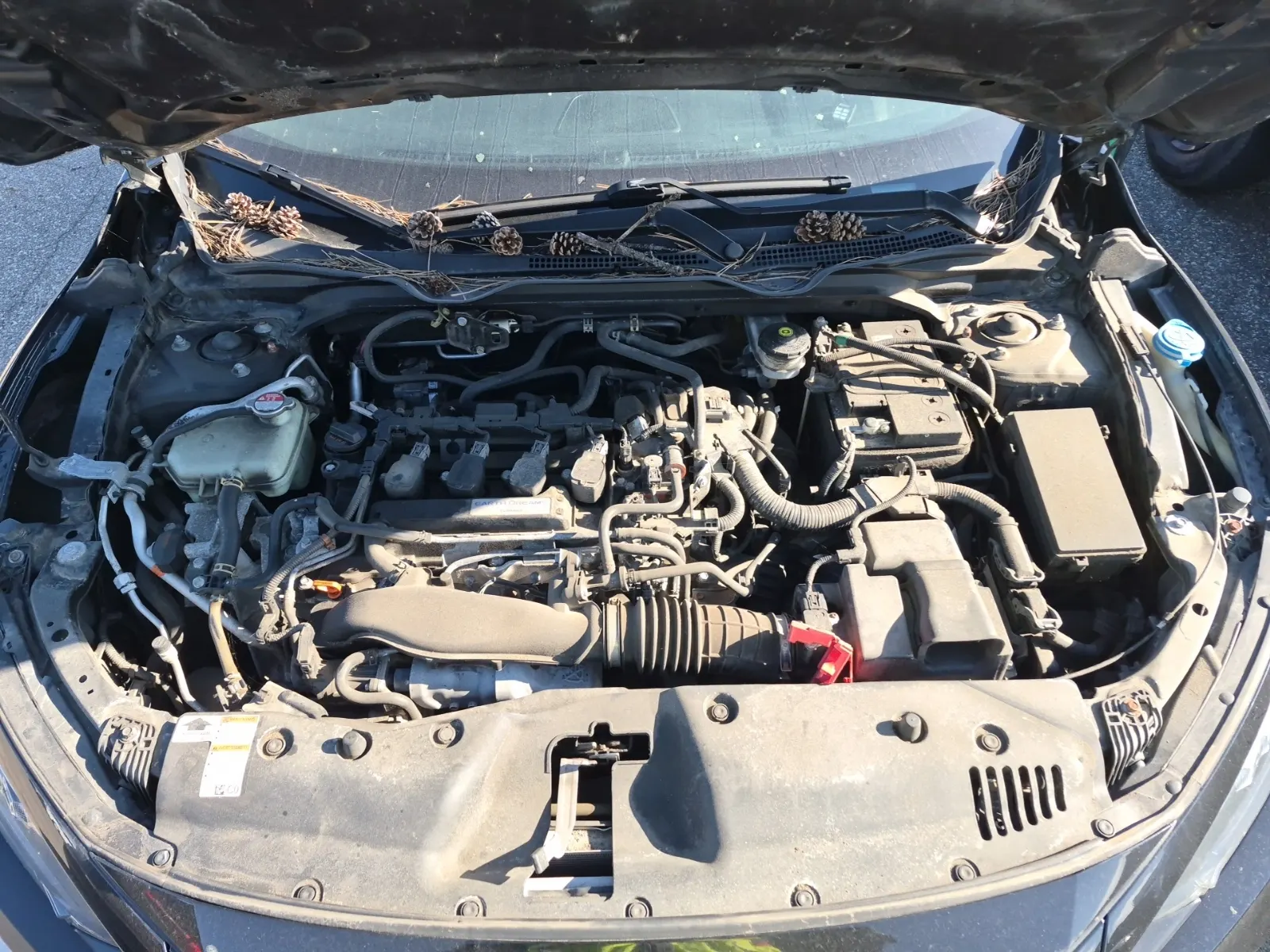 Engine Photo