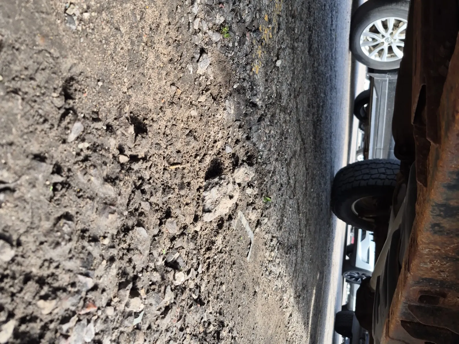 Undercarriage - Driver Photo