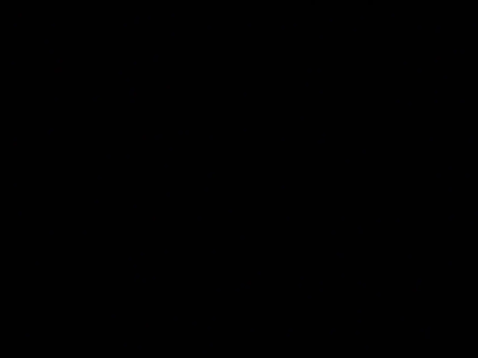 Cargo Area Photo
