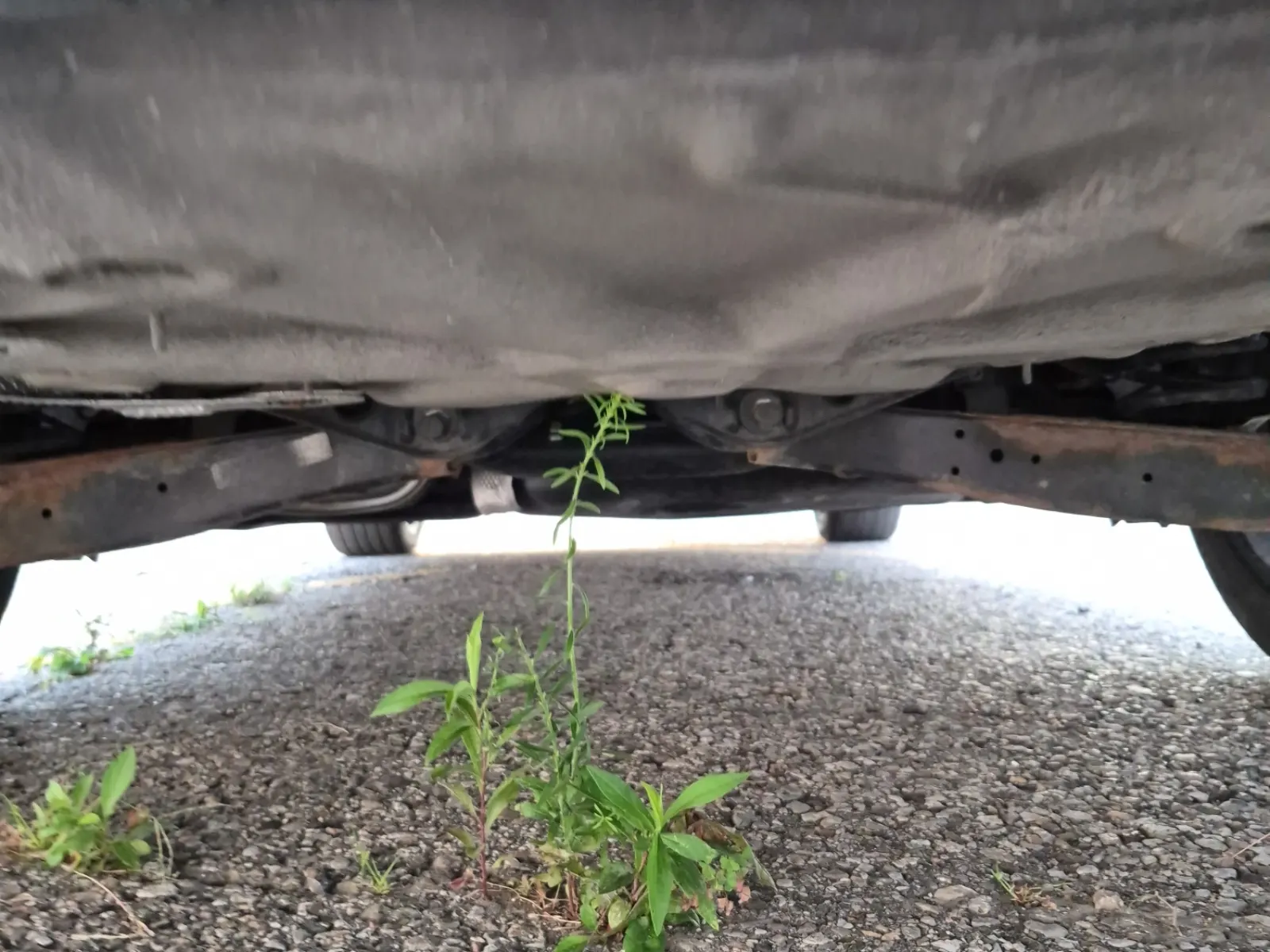 Undercarriage - Rear Photo