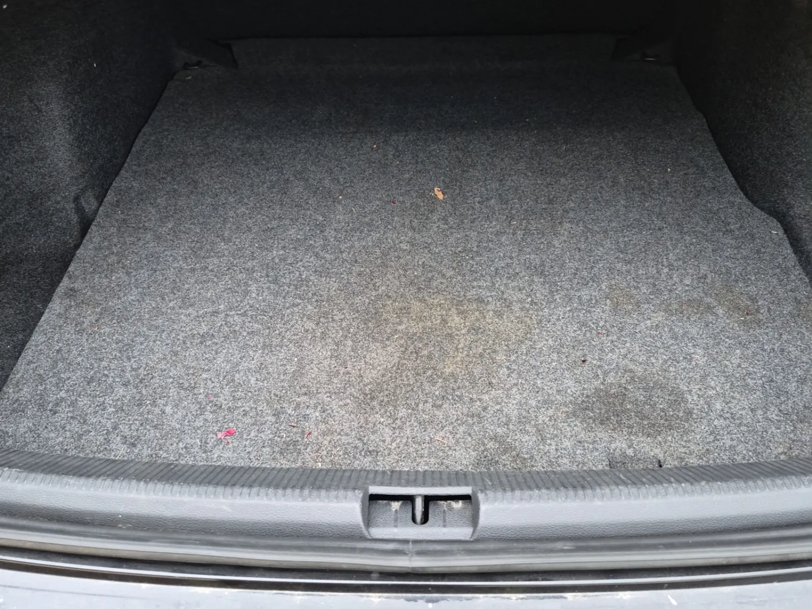Cargo Area Photo