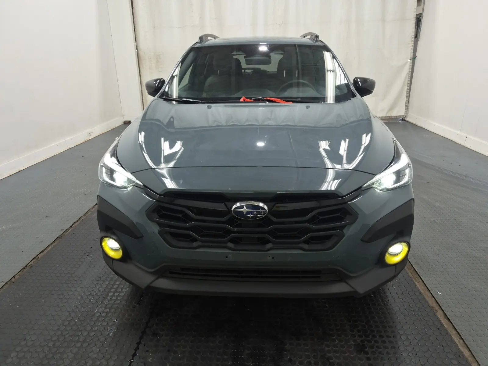 Full Front Photo