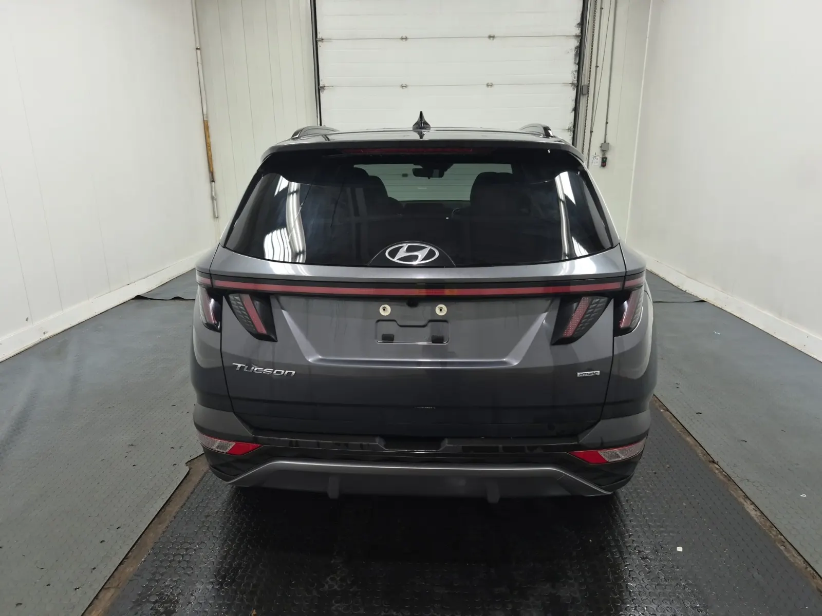 Full Rear Photo