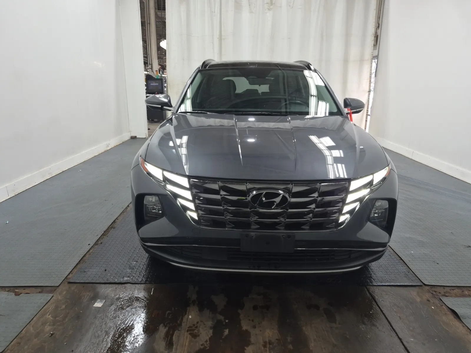 Full Front Photo