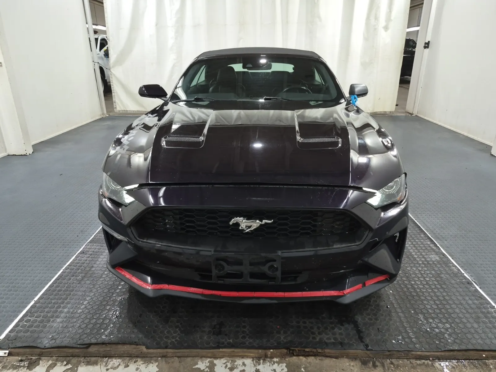Full Front Photo