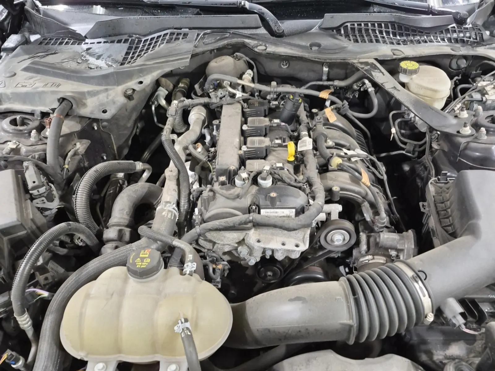 Engine Photo