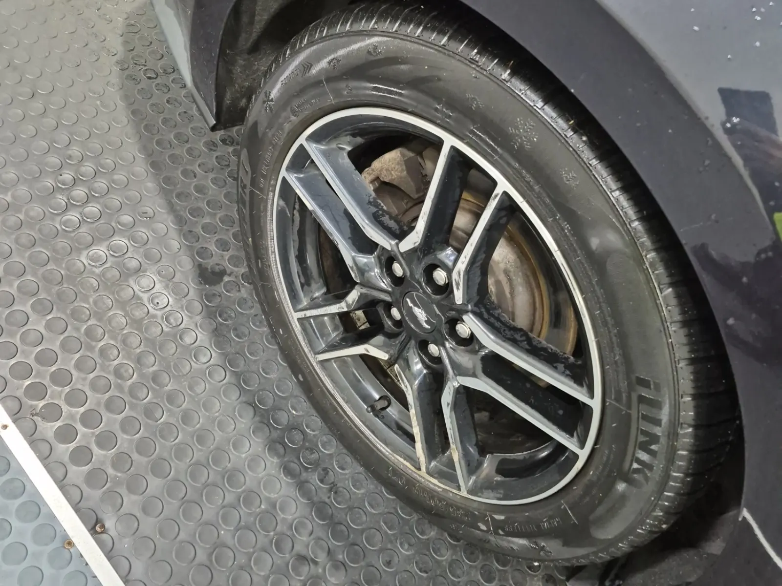 Right Rear Wheel/Tire Photo