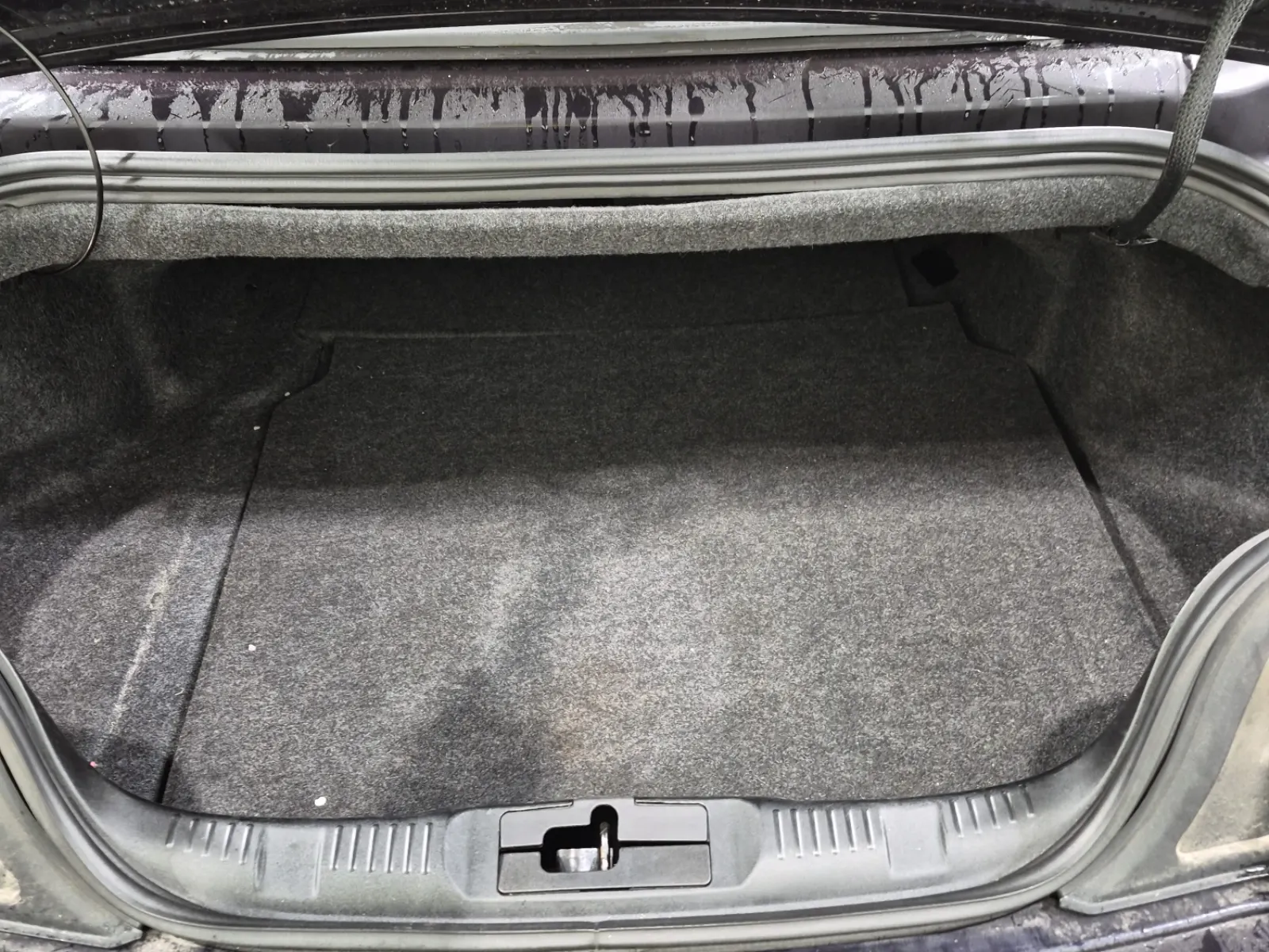 Cargo Area Photo