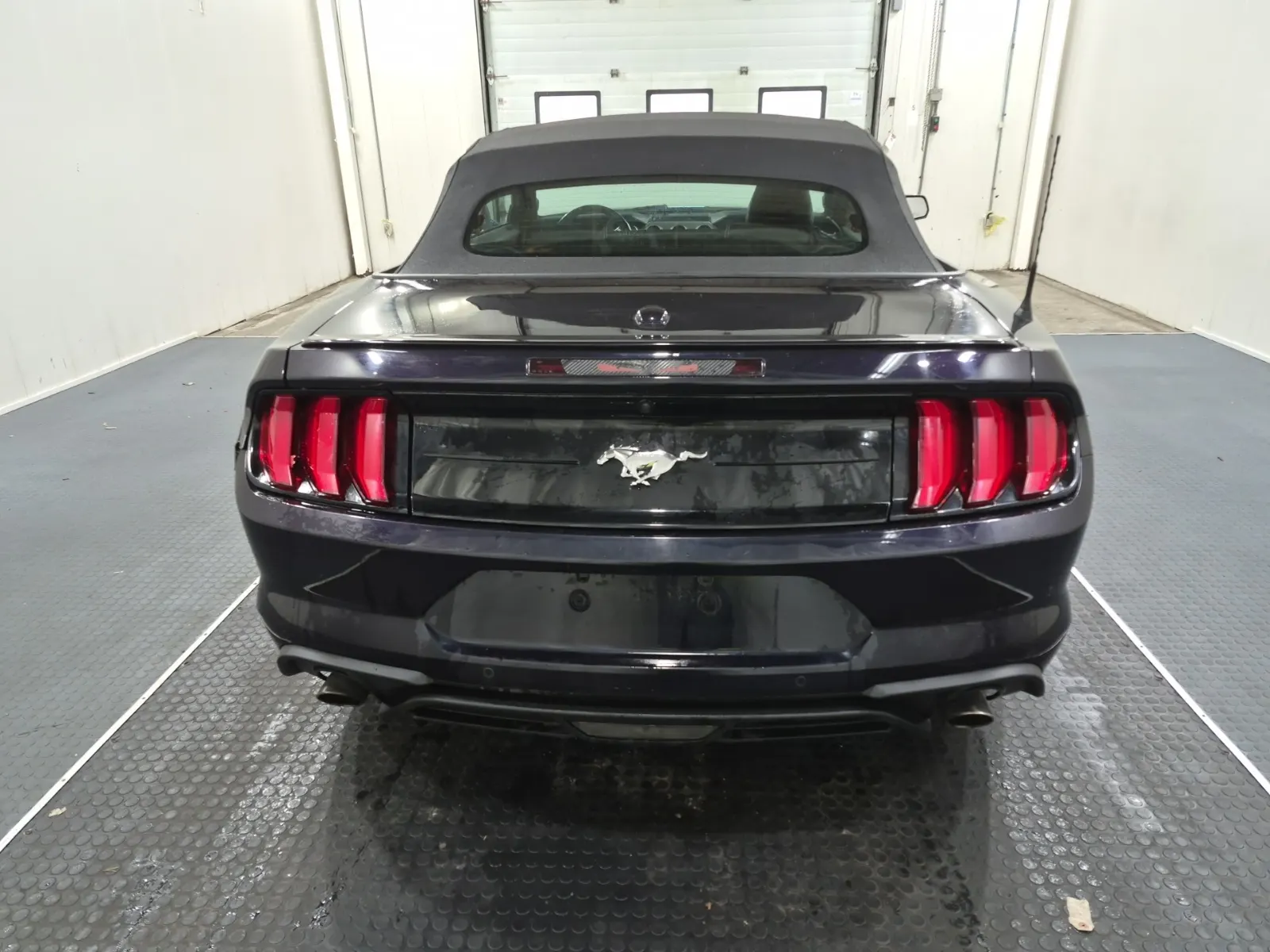 Full Rear Photo
