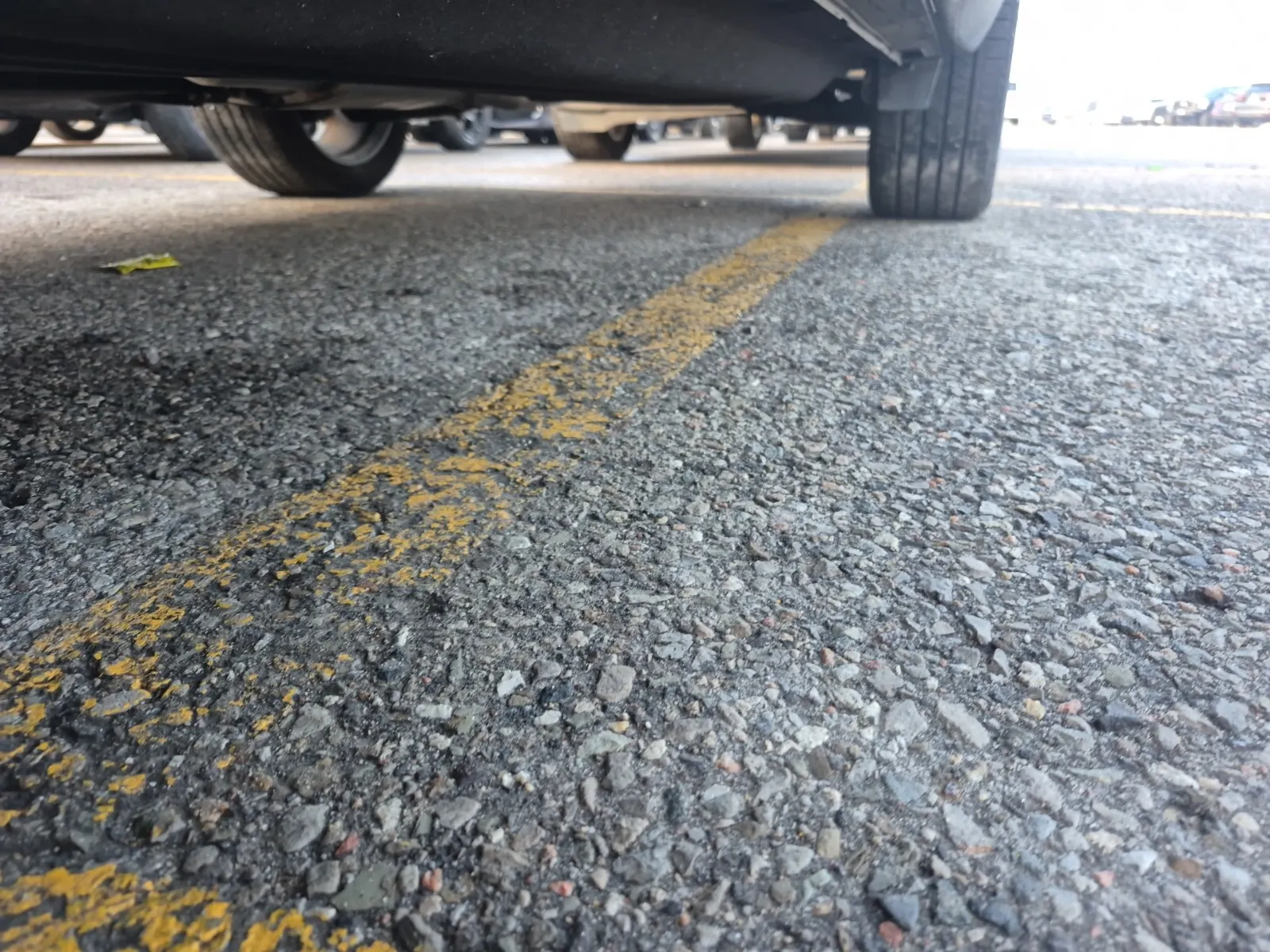 Undercarriage - Driver Photo