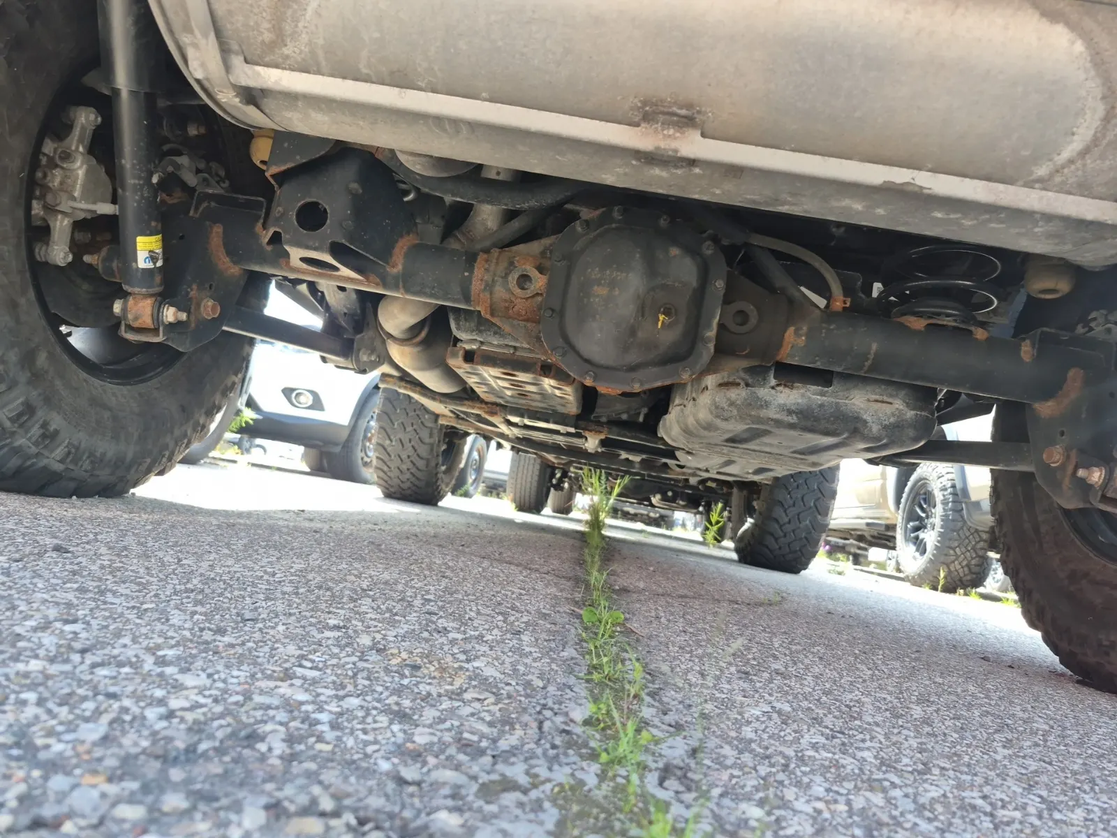 Undercarriage - Rear Photo