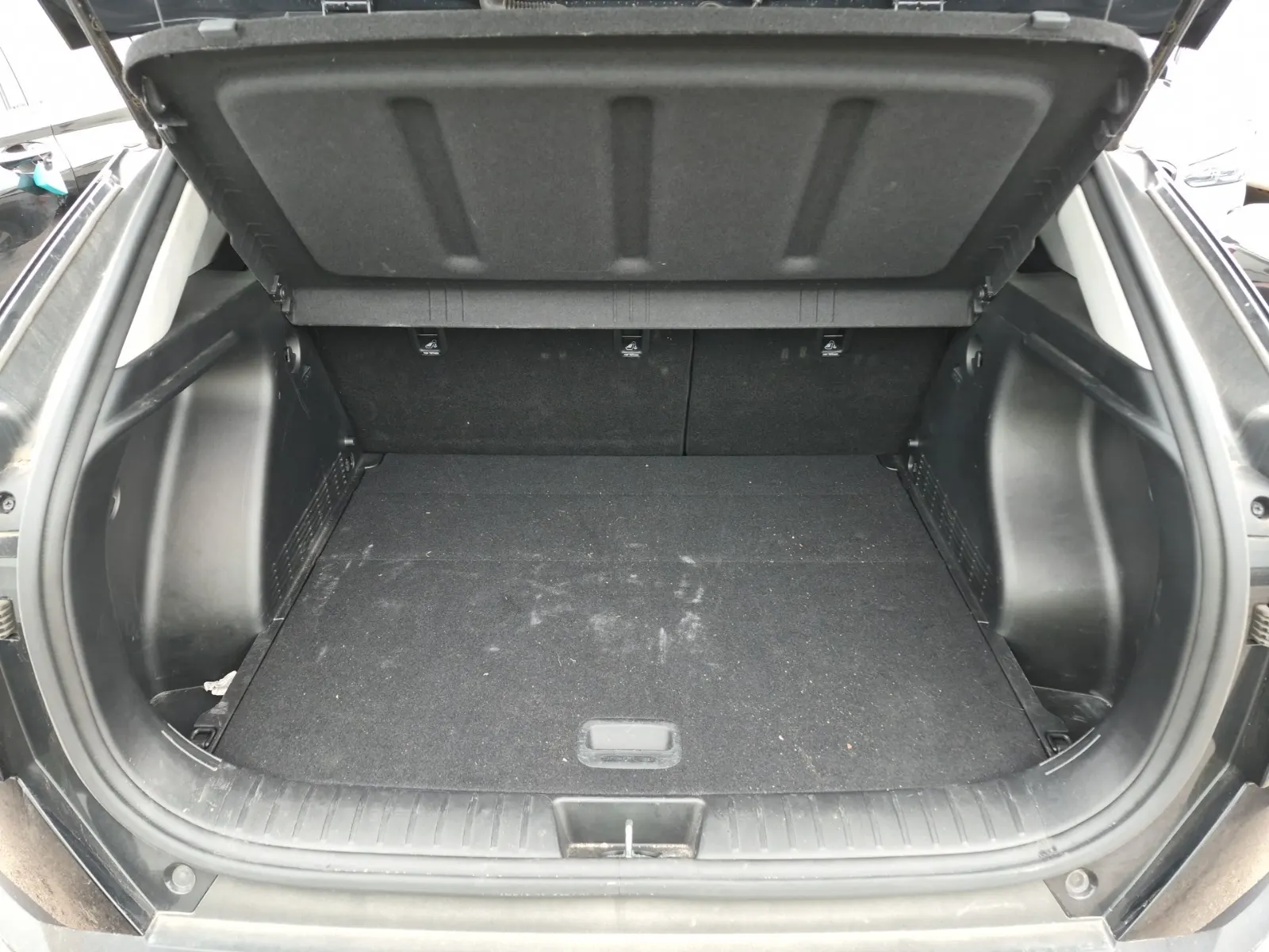 Cargo Area Photo