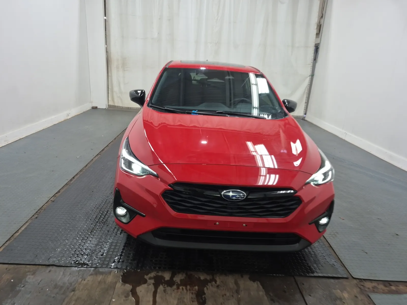 Full Front Photo