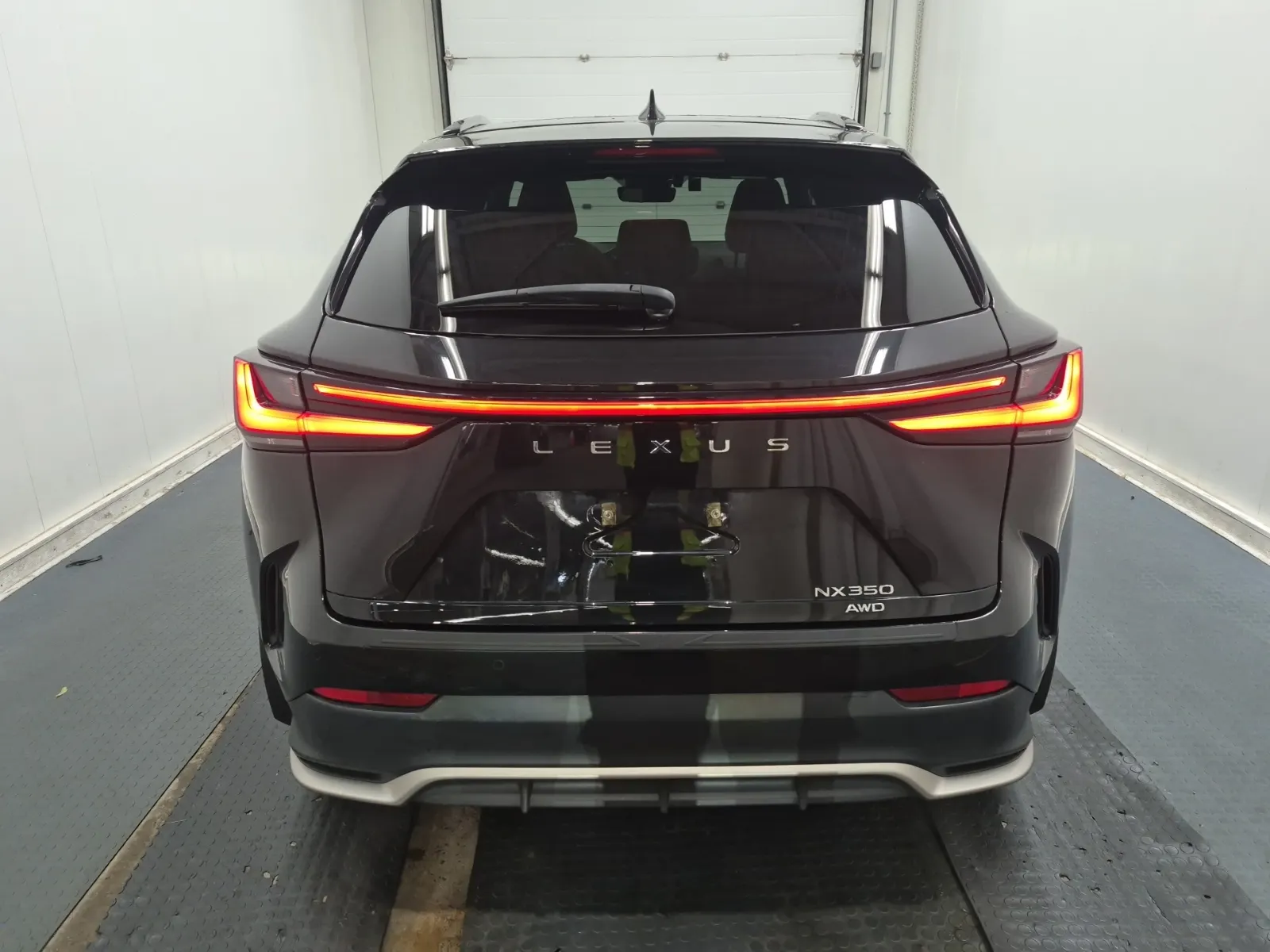 Full Rear Photo