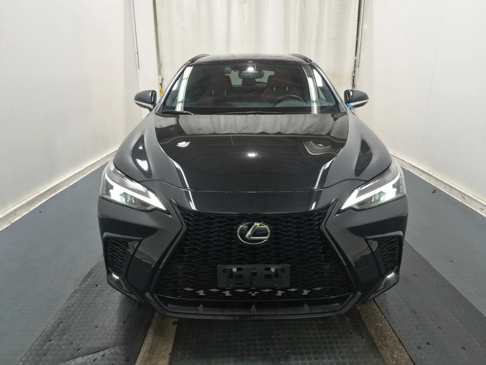 Full Front Photo