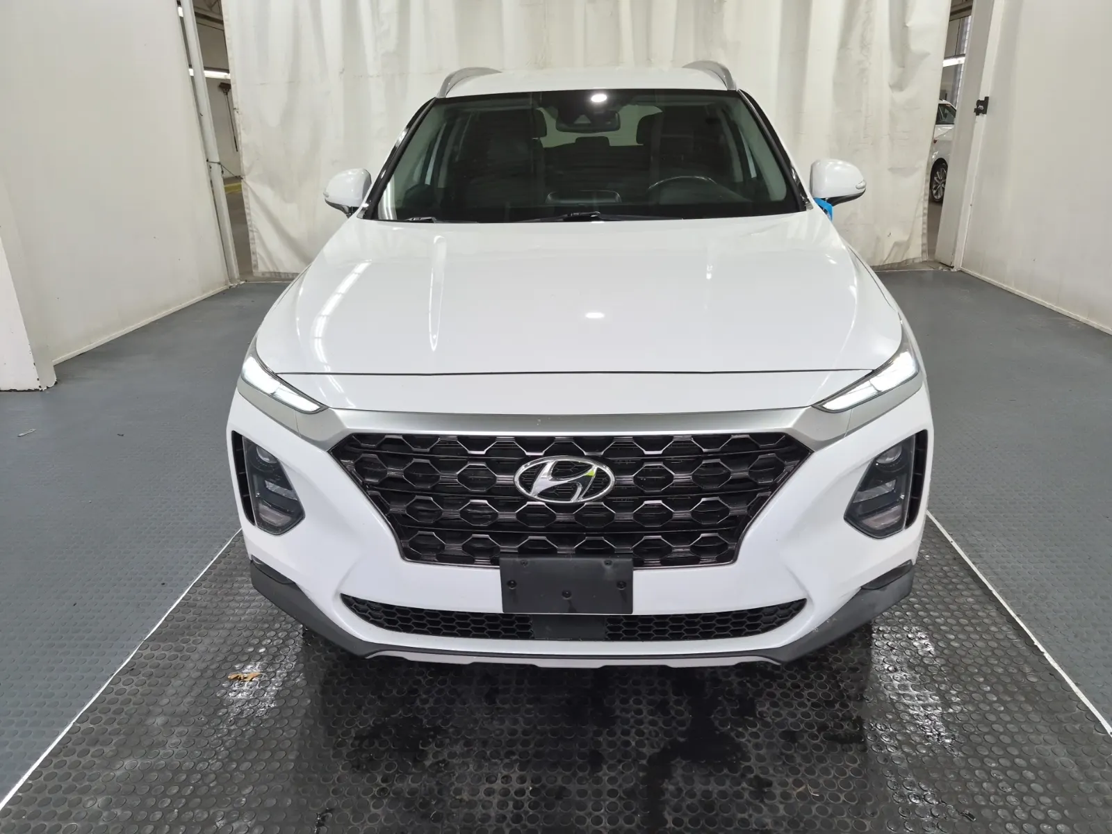 Full Front Photo