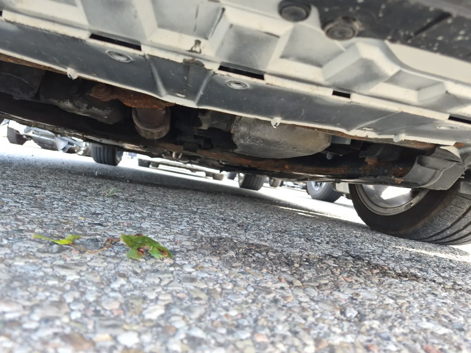 Undercarriage - Front Photo