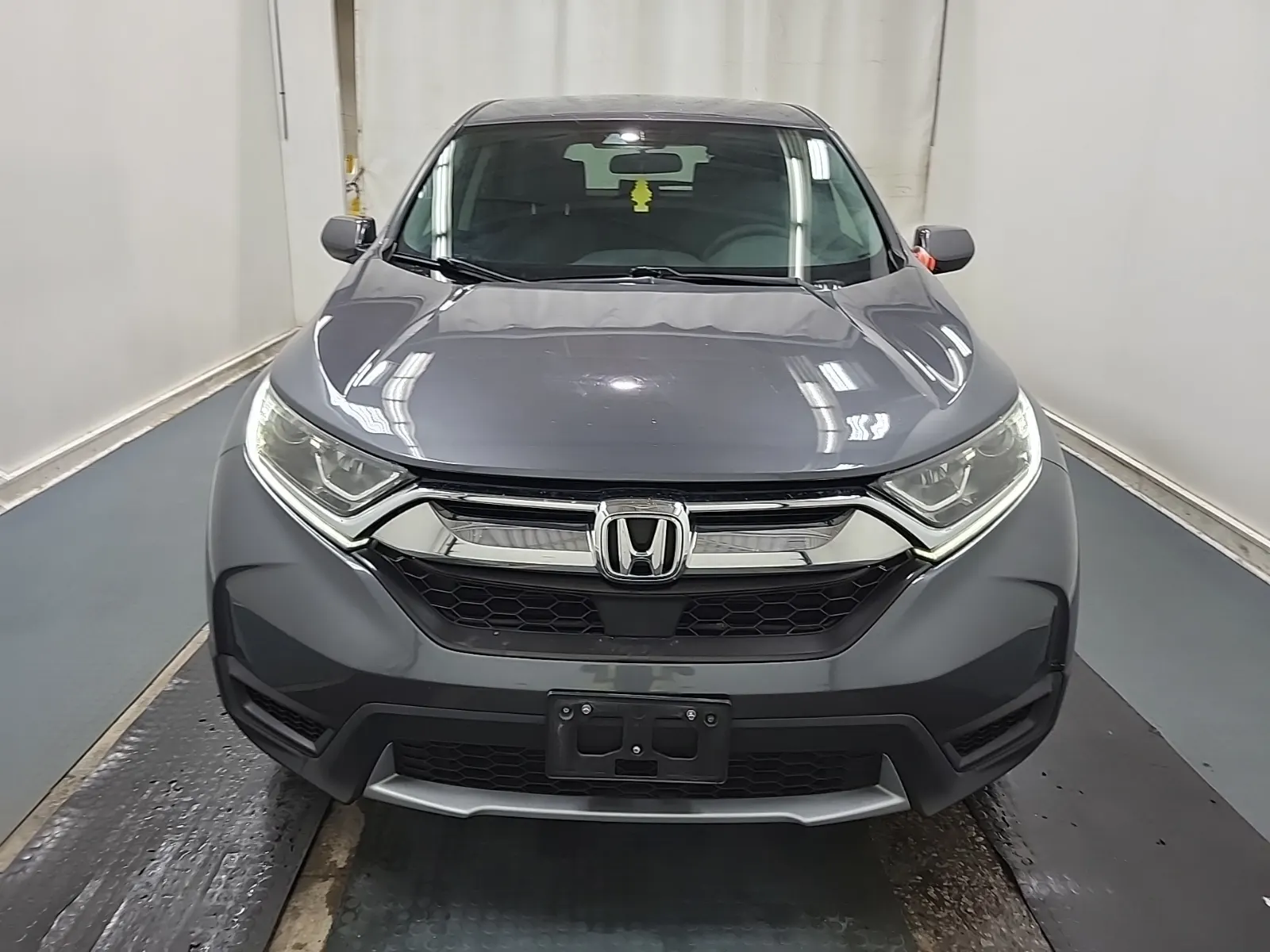 Full Front Photo
