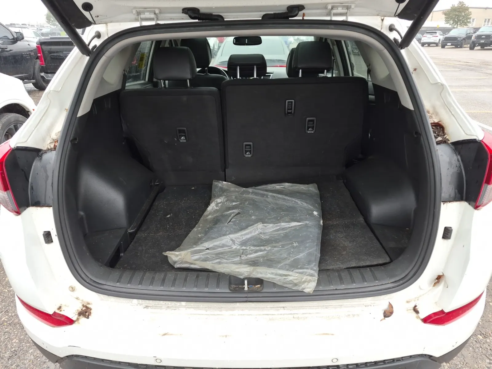 Cargo Area Photo