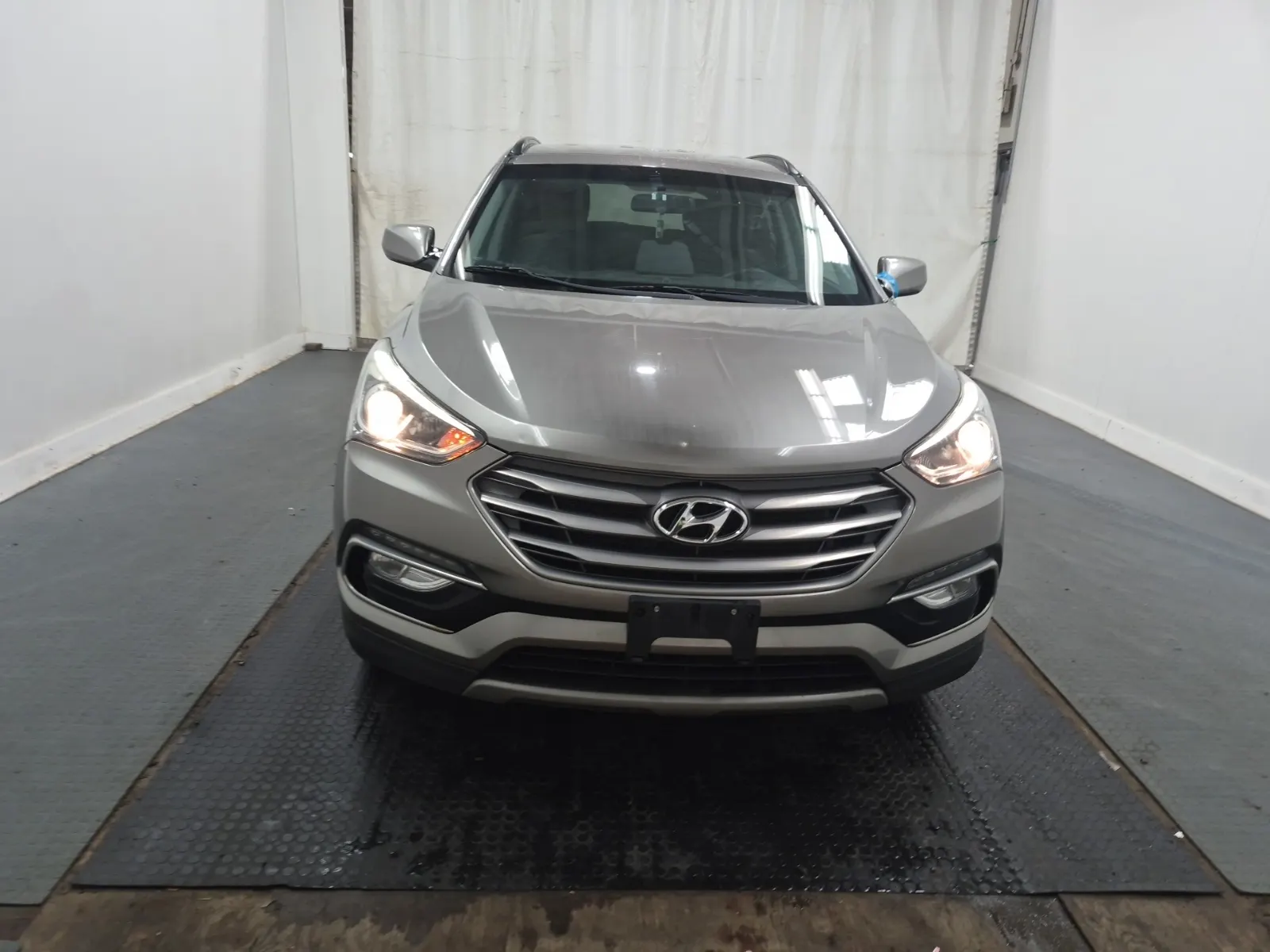 Full Front Photo