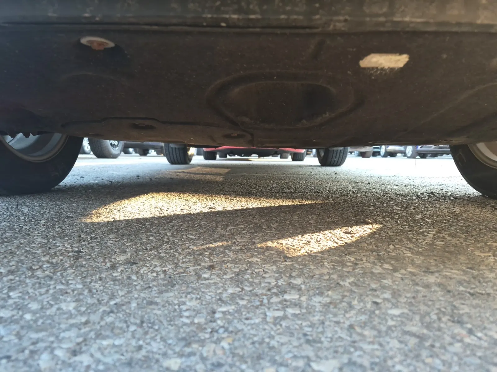 Undercarriage - Front Photo