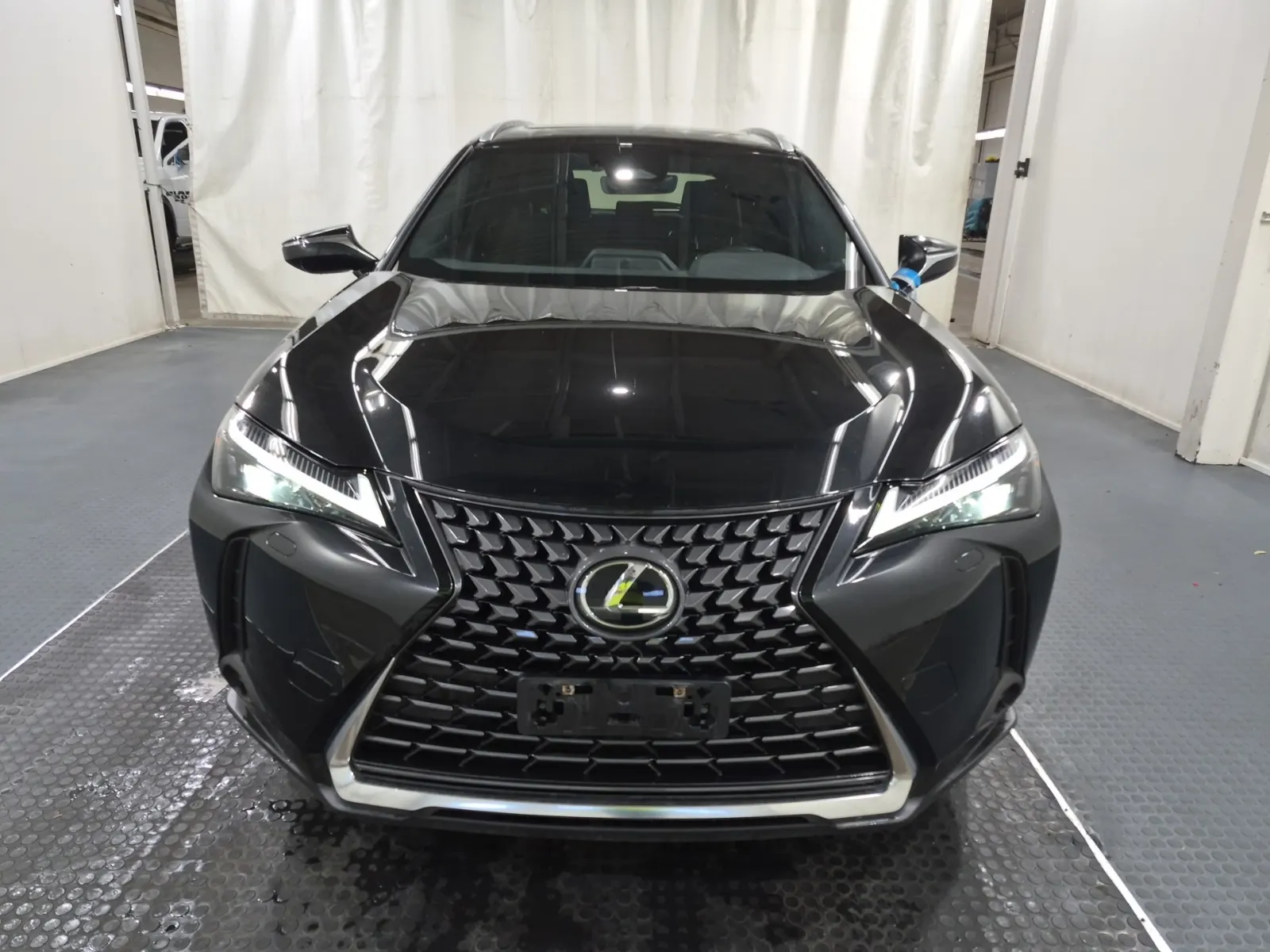 Full Front Photo